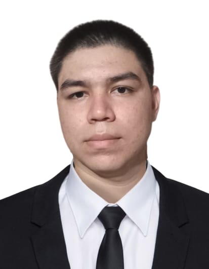 Descripción de la imagen